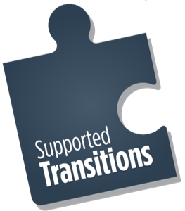supported transitions puzzle piece